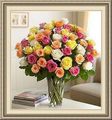 Back Door Florist & Gifts, 434 Butternut St, Abilene, TX 79602, (325)_672-8759